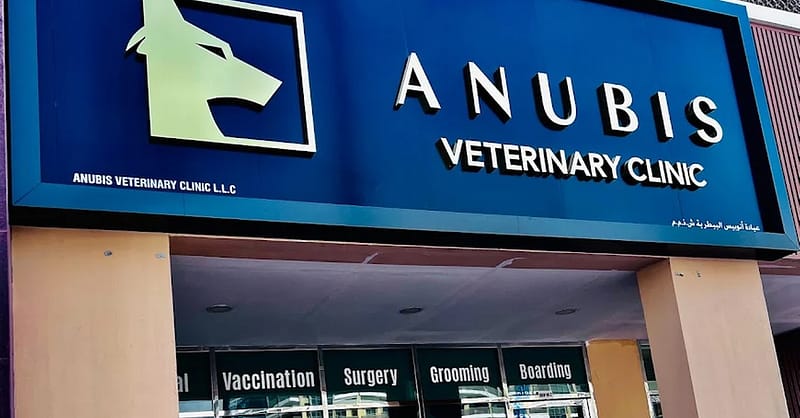 Male/Female Cat Or Small Breed Dogs (Up To 5 Kg) Castration Or Spaying Dubai