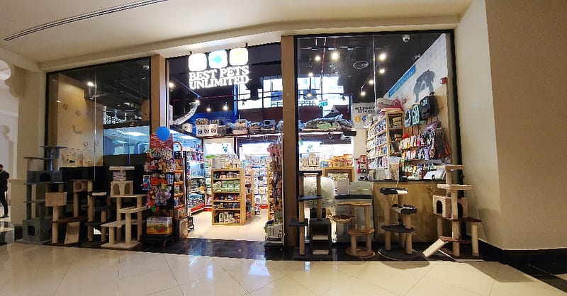Pamper Your Furry Friends With Basic Or Full Grooming For Dogs & Cats Dubai - Image 5