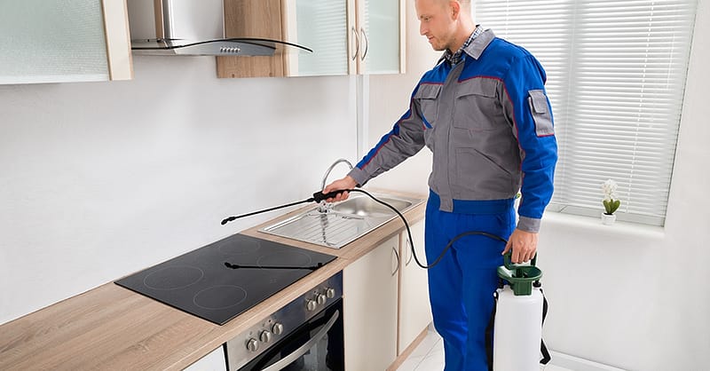 Pest Control Service Abu Dhabi