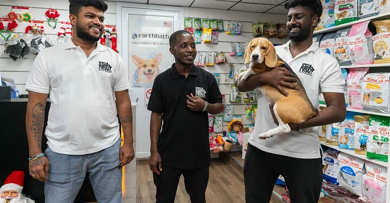 Pet Day Care At Six Pawz Pet Grooming Dubai - Image 3