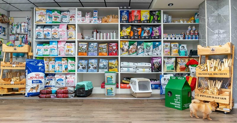 Pet Day Care At Six Pawz Pet Grooming Dubai - Image 8