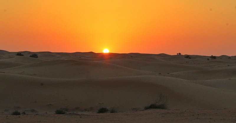 Quad Biking And Dune Bashing Sharjah & N. Emirates - Image 3