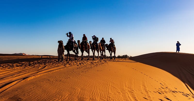 Quad Biking And Dune Bashing Sharjah & N. Emirates - Image 4