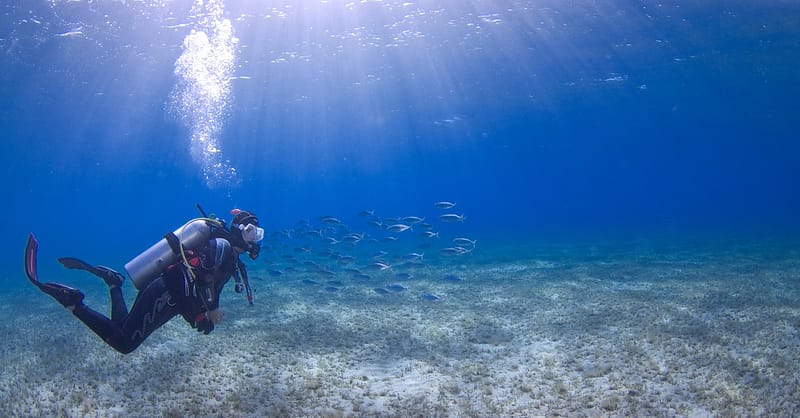 Scuba Diving Experience Dubai - Image 3