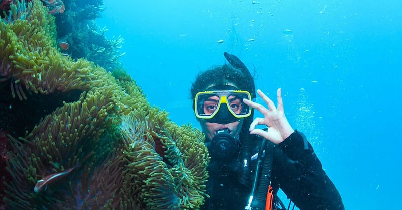 Scuba Or Fujairah Diving Or Snorkeling At Goblin Diving Center Dubai - Image 5