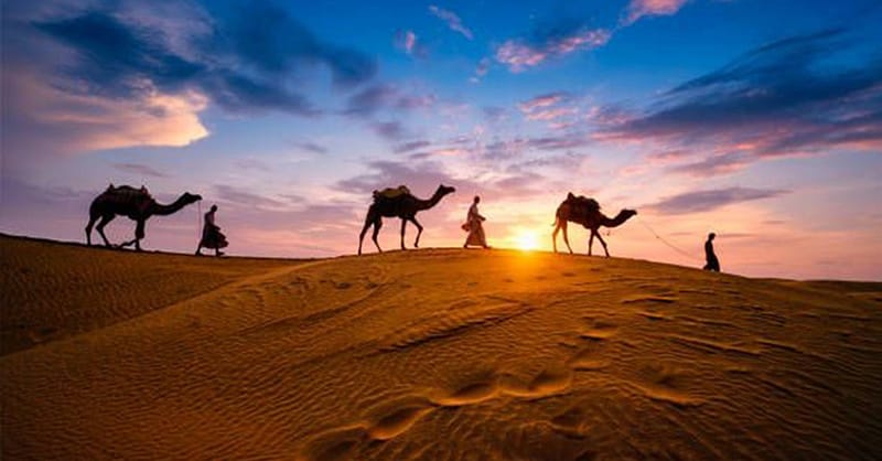 Self-Drive Desert Safari Tour With Live Entertainment, Dinner And More Dubai - Image 3