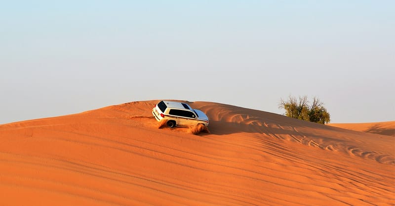 Self-Drive Evening Desert Safari Sharjah & N. Emirates - Image 2