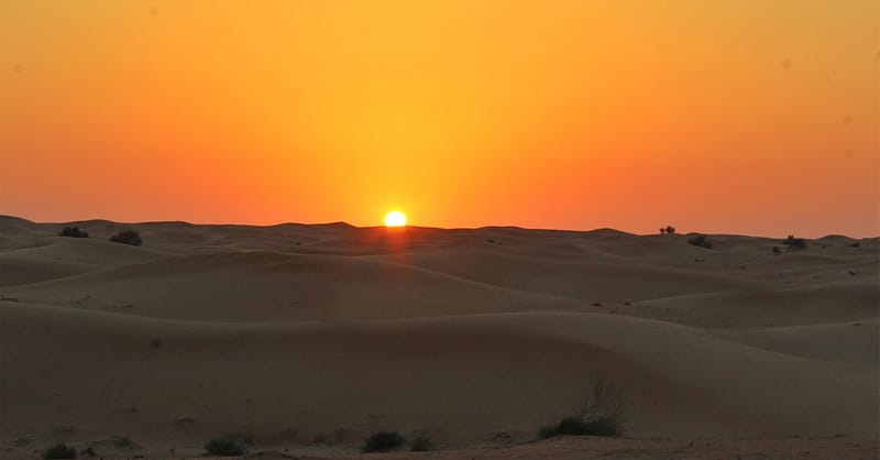 Self-Drive Evening Desert Safari Sharjah & N. Emirates - Image 3