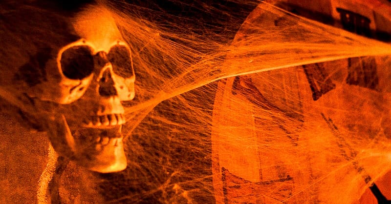 Show Off Your Sleuthing Skills At Abu Dhabis 1st Horror Escape Room! Abu Dhabi - Image 2