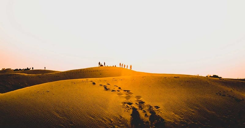 Tour - Guided Dubai - Image 10