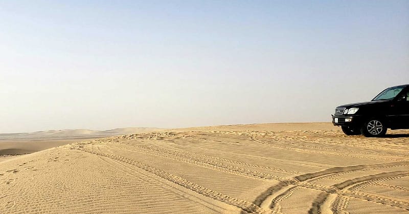 Tour - Guided Dubai - Image 11