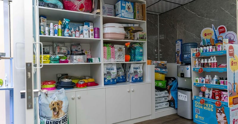 Treat Your Furry Friend To A Spa Day At Six Pawz Pet Grooming! Dubai - Image 11