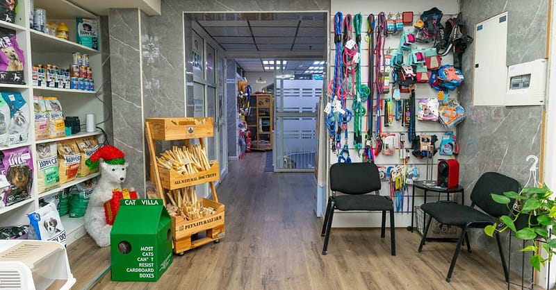 Treat Your Furry Friend To A Spa Day At Six Pawz Pet Grooming! Dubai - Image 12