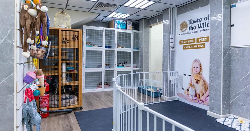 Treat Your Furry Friend To A Spa Day At Six Pawz Pet Grooming! Dubai - Image 9