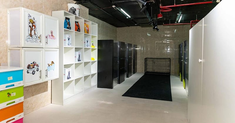 Treat Your Furry Friend To A Spa Day At Six Pawz Pet Grooming! Dubai - Image 7