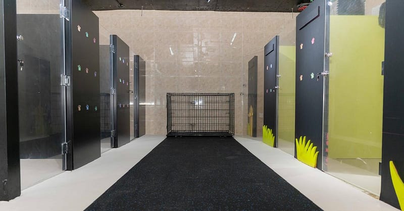 Treat Your Furry Friend To A Spa Day At Six Pawz Pet Grooming! Dubai - Image 6