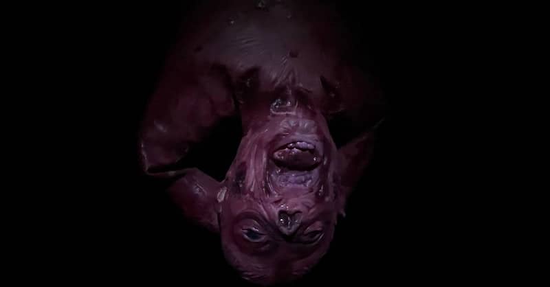 Ultimate Horror Escape Rooms Dubai - Image 7
