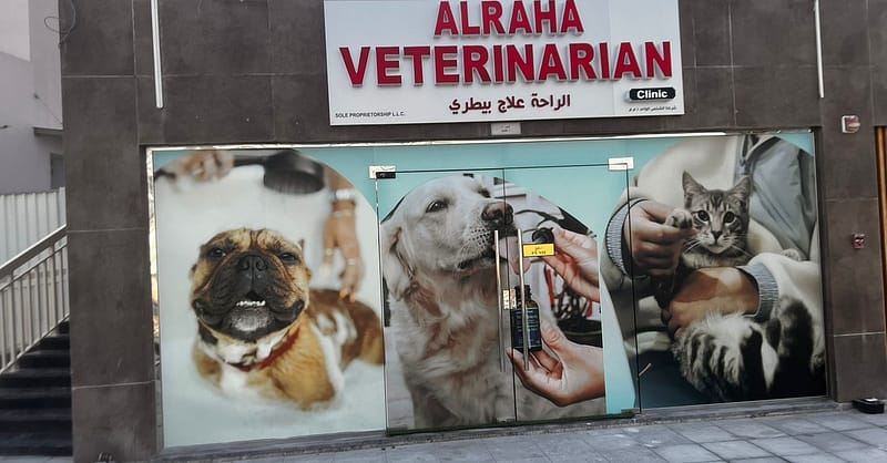 Dog/Cat Medical Check Up At Al Raha Veterinary Clinic Abu Dhabi - Image 3