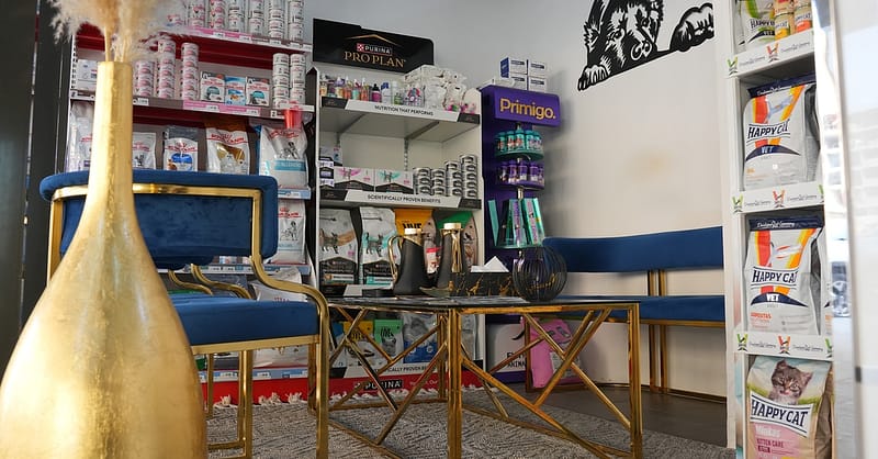 Up To 42% Off On At Cloud Pet Salon And Boarding Sharjah & N. Emirates - Image 2