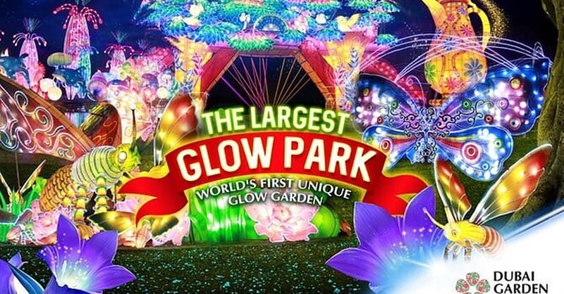 Up To 8% Off On At Peace Land Travel And Tourism Dubai - Image 2