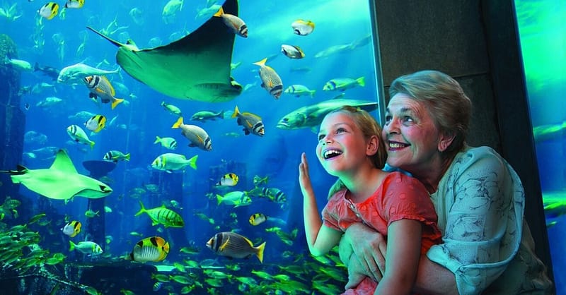 Up To 8% Off On At Peace Land Travel And Tourism Dubai - Image 6