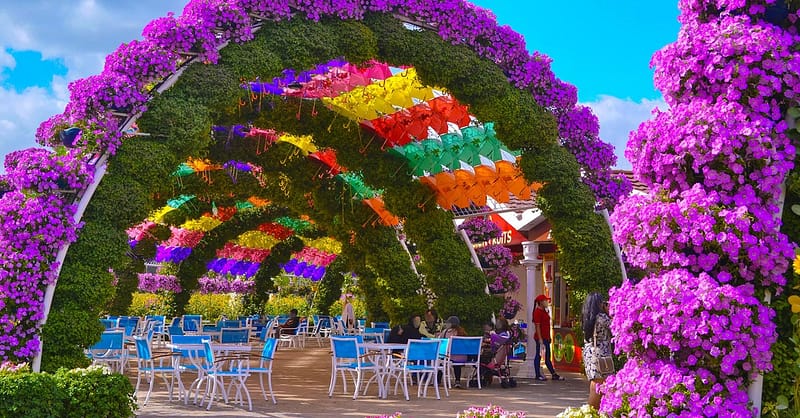 Up To 8% Off On At Peace Land Travel And Tourism Dubai - Image 7