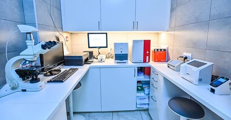 Veterinary Examination At Pet Connection Veterinary Clinic Dubai - Image 9