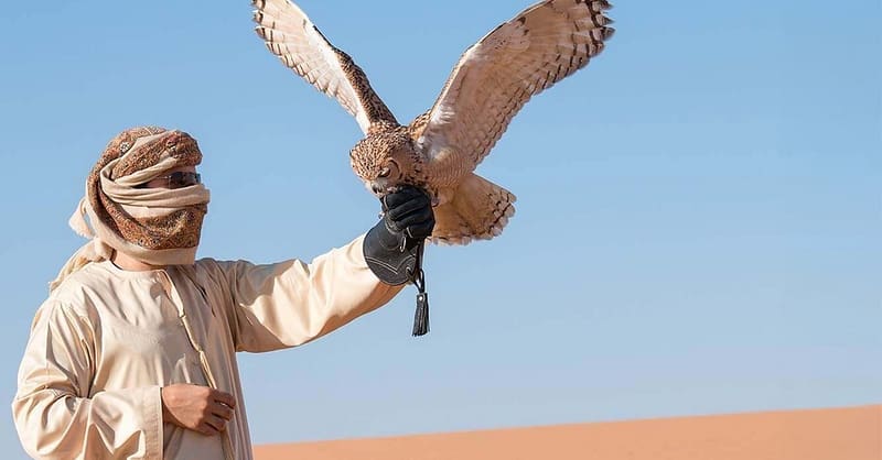 Vip Red Dune Desert Safari Or Premium Desert Safari For 1, 2, Or 4 Sharjah & N. Emirates - Image 13