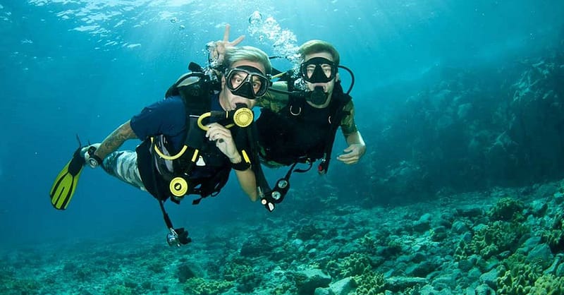 Vip Scuba Diving Tour Dubai - Image 4