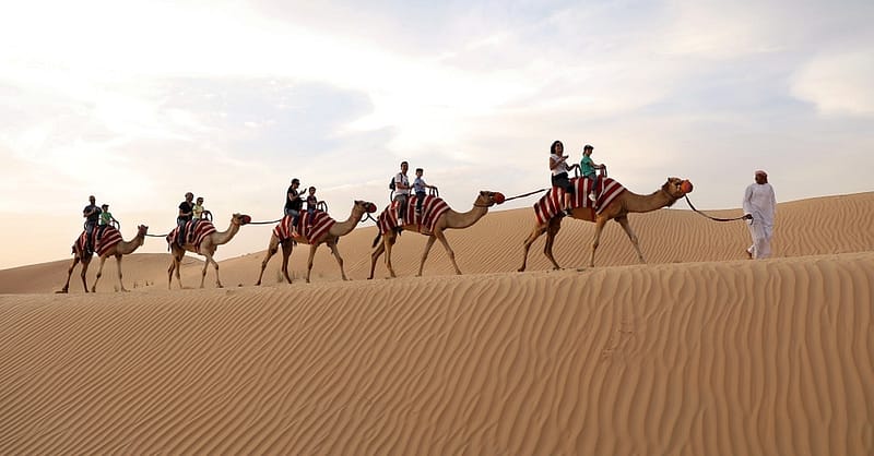 Tour - Bike Dubai