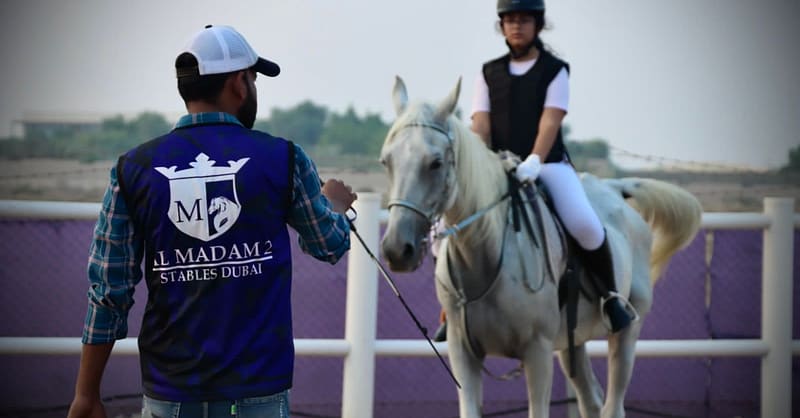 Ride Through Desert Beauty With Horseback Hacks & Arena Lessons Dubai