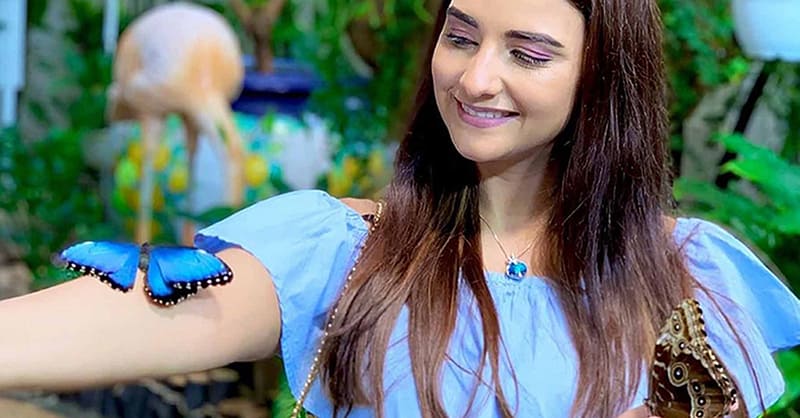 Discover Vibrant Colors W/ Dubai Butterfly Garden Pass:1