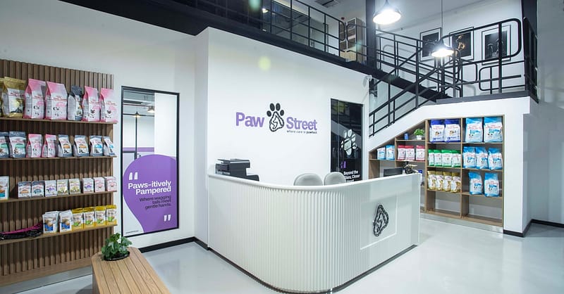 Pamper Your Pet Basic Or Full Grooming For Small To Xl Dogs Or Cats Dubai