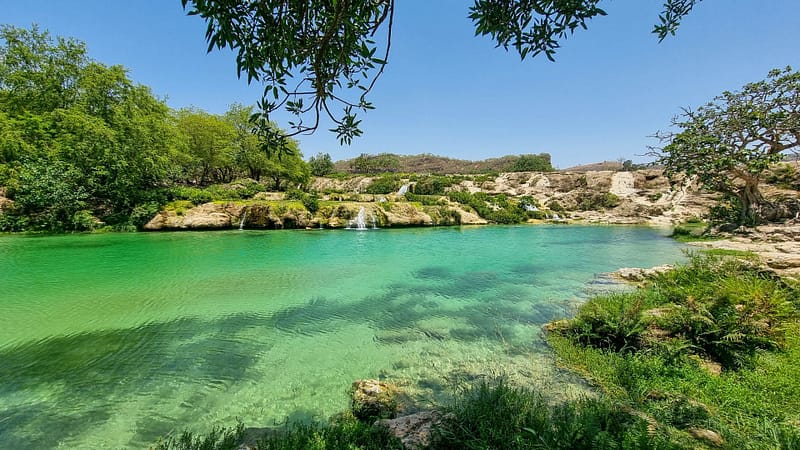 Eid: Explore Salalah - Sightseeing and Tours - Image 2
