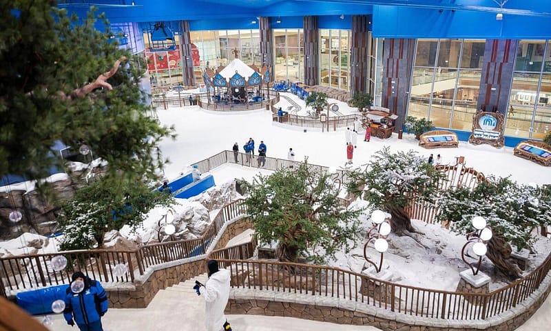 Abu Dhabi Snow Premium Pass For One At Kyka Group National Deal - Image 5