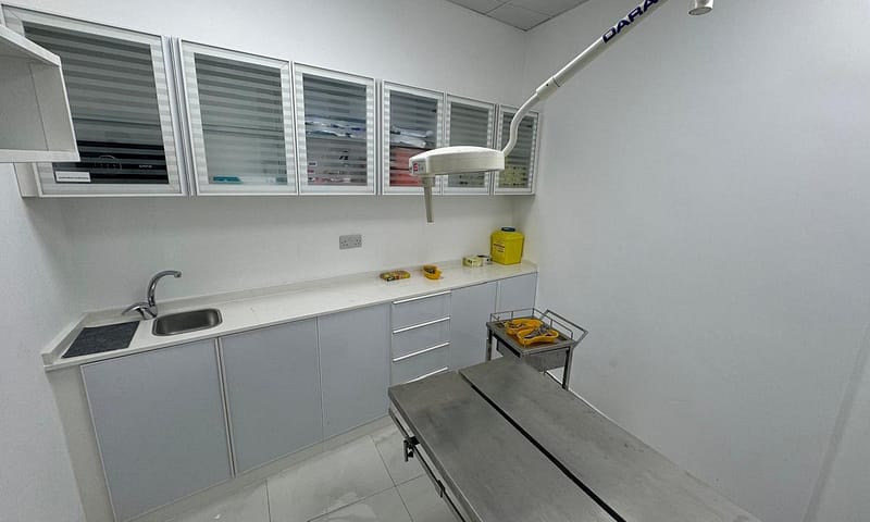 Boost Pet Wellness: Dental Scaling And Sedation For Cats And Dogs Dubai - Image 3