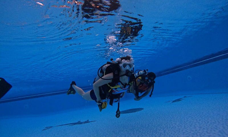 Dive Into Adventure With Diving Course Dubai - Image 6
