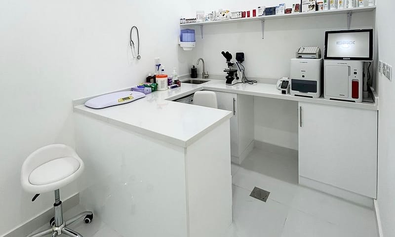 Grooming For Medium Dogs, Large Dogs, And Cats/Small Dogs Dubai - Image 3