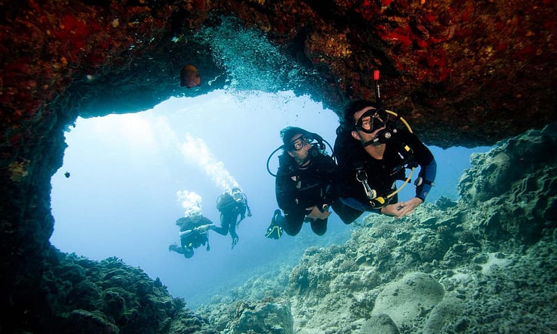 Scuba Diving Experience Dubai - Image 4