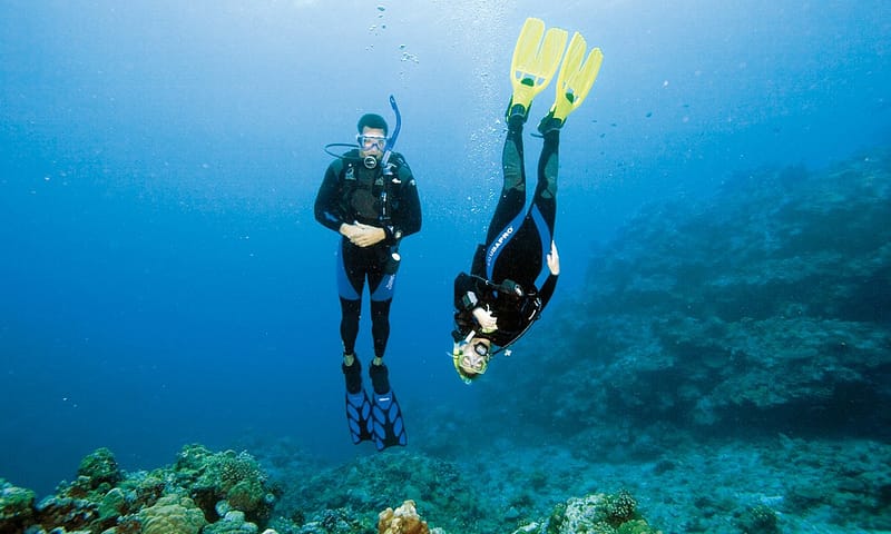 Scuba Diving Experience Dubai - Image 6