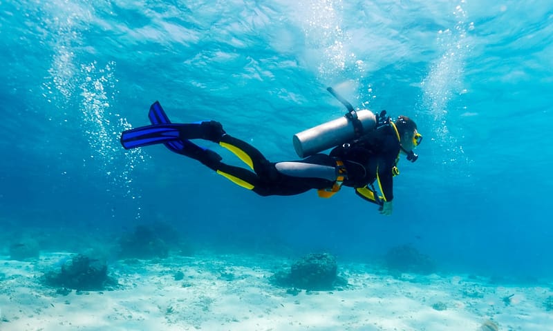 Vip Scuba Diving Tour Dubai - Image 2
